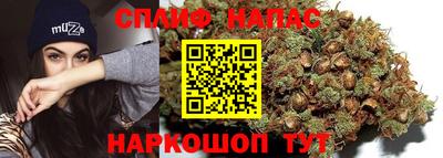 эйфоретик Кимры