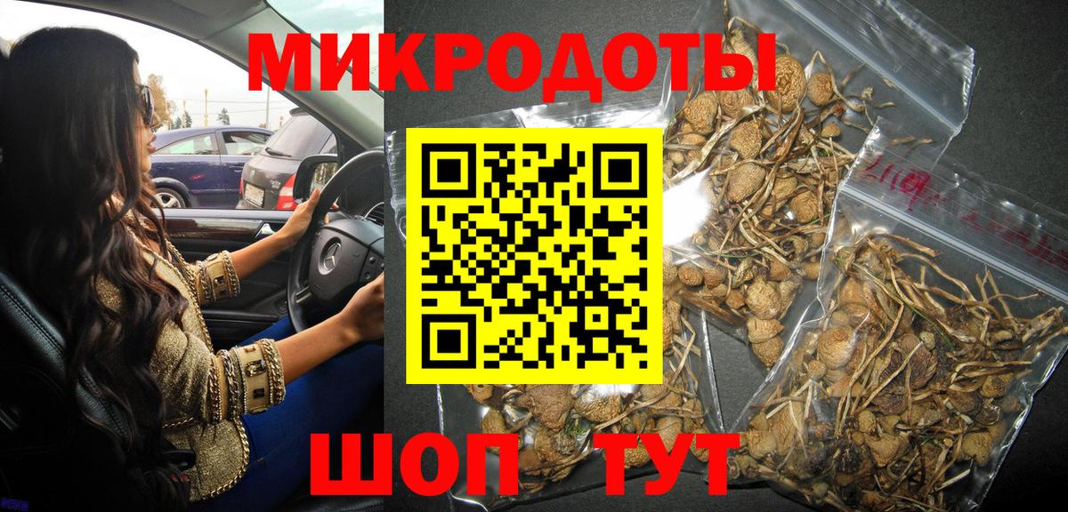 Псилоцибиновые грибы мицелий Ялта